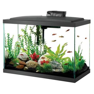 10gallon Aqueon LED Aquarium