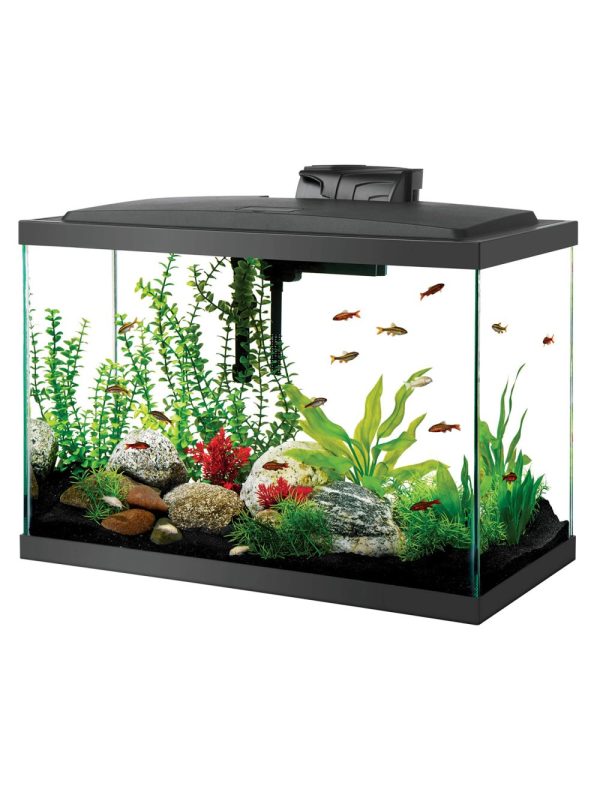 10gallon Aqueon LED Aquarium