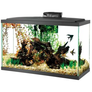 29gallon Aqueon LED Aquarium