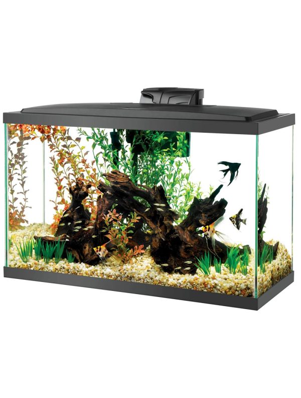 29gallon Aqueon LED Aquarium