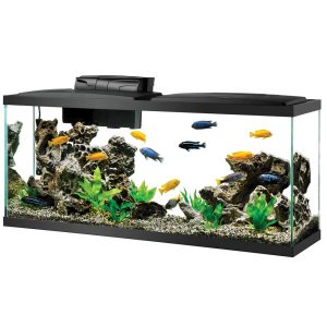 55gallon Aqueon LED Aquarium