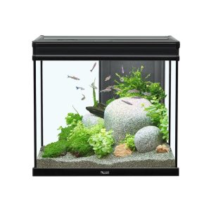 Aquatlantis Elegance Expert 60Aquarium