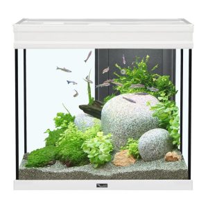 Aquatlantis Elegance Expert 60Aquarium