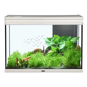 Aquatlantis Elegance Expert 80Aquarium