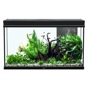 Aquatlantis Elegance Expert 80Aquarium