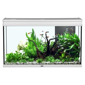 Aquatlantis Elegance Expert 100Aquarium