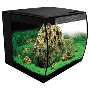 Fluval Flex Freshwater 9gallon