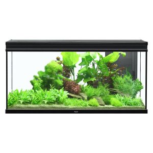 Aquatlantis Elegance Expert 120Aquarium