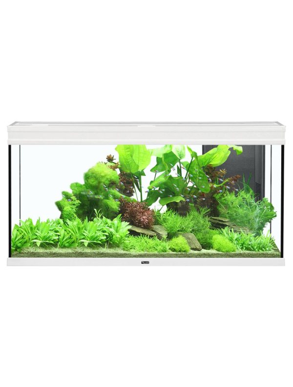 Aquatlantis Elegance Expert 120Aquarium