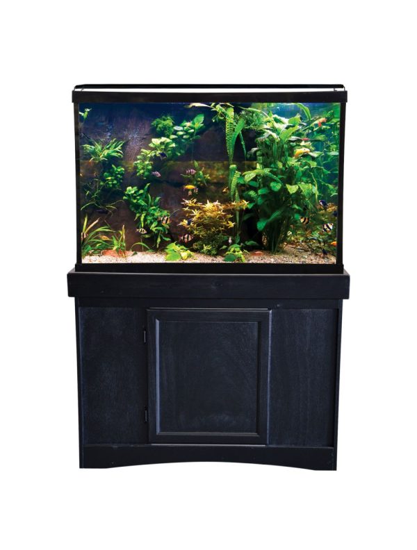 Seapora Monarch Aquarium 65gallon