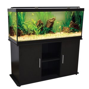 Aqueon Empress Aquarium 75gallon