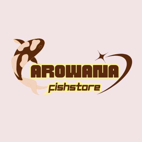 Arowana Fish Store