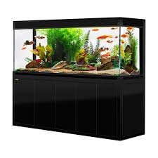 large aquarium for sale