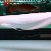 Platinum silver arowana